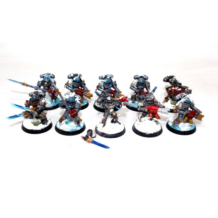 Warhammer Grey Knights Strike Squad Well Painted JYS6 - Tistaminis