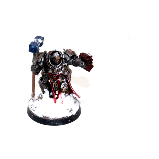 Warhammer Grey Knights Grand Master Voldus Well Painted JYS6 - Tistaminis