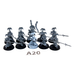 Warhammer High Elves Lumineth Vanari Wardens A20 - Tistaminis