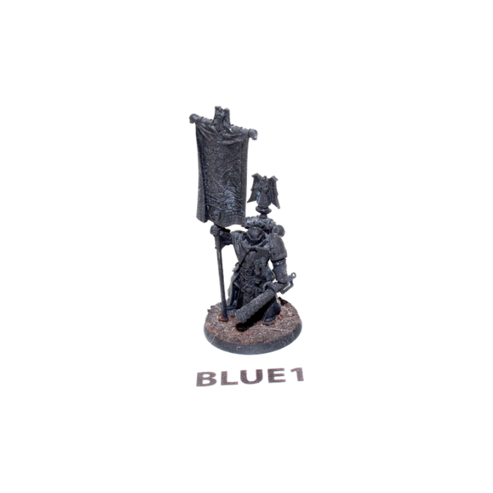 Warhammer Space Marines Bladeguard Ancient BLUE1