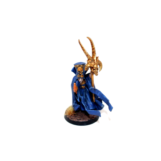 Warhammer Empire Mage Well Painted JYS28 - Tistaminis