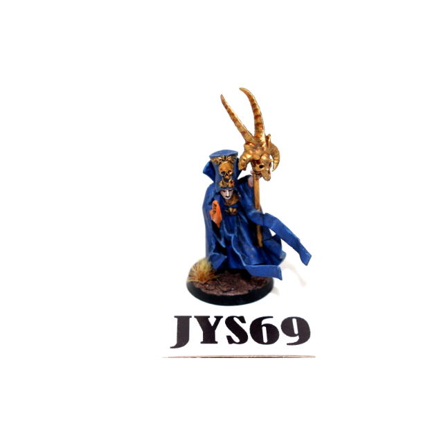 Warhammer Empire Mage Well Painted JYS28 - Tistaminis