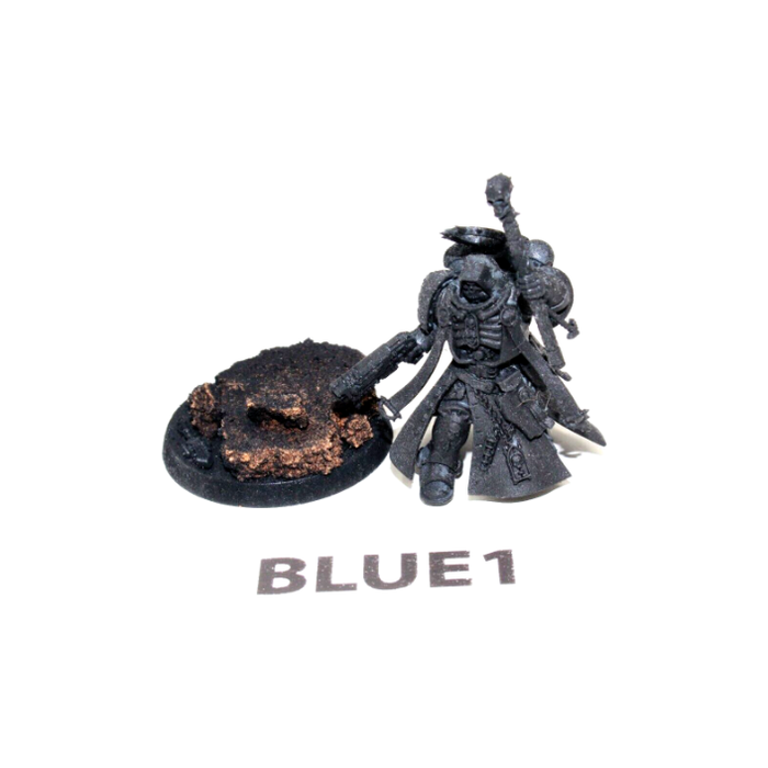 Warhammer Space Marines Primaris Chaplain BLUE1