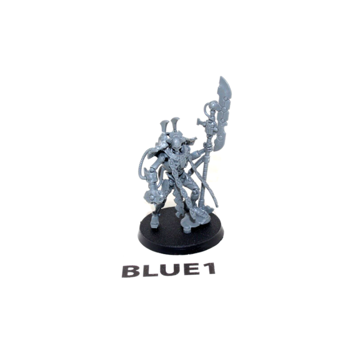 Warhammer Necrons Overlord BLUE1