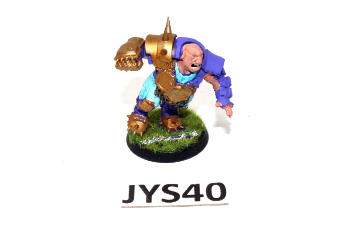 Warhammer Blood Bowl Reikland Reavers Ogre JYS40