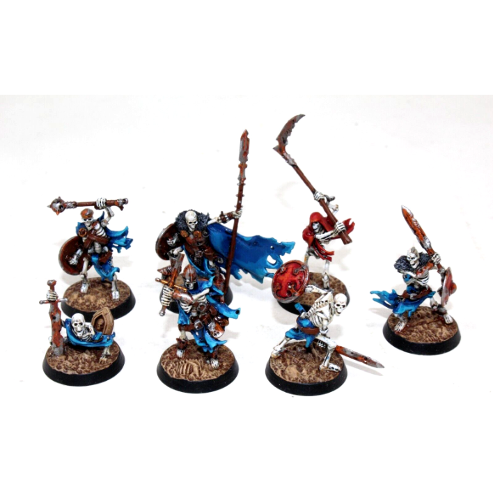 Warhammer Vampire Counts The Sepulchral Guard Well Painted JYS8 - Tistaminis