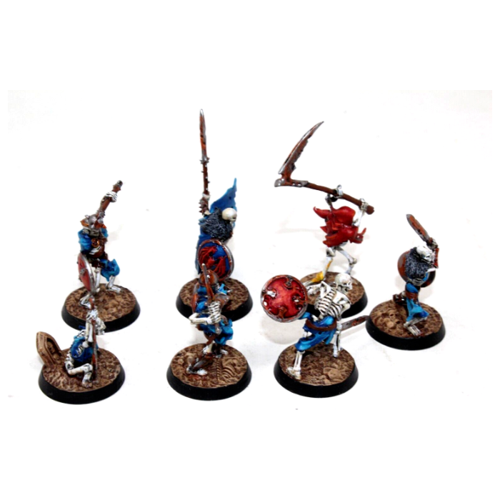 Warhammer Vampire Counts The Sepulchral Guard Well Painted JYS8 - Tistaminis