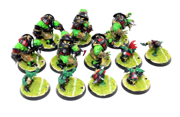 Warhammer Blood Bowl Thunder Valley Greenskins Well Painted JYS41