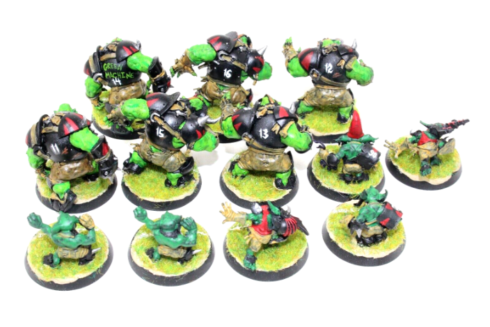 Warhammer Blood Bowl Thunder Valley Greenskins Well Painted JYS41