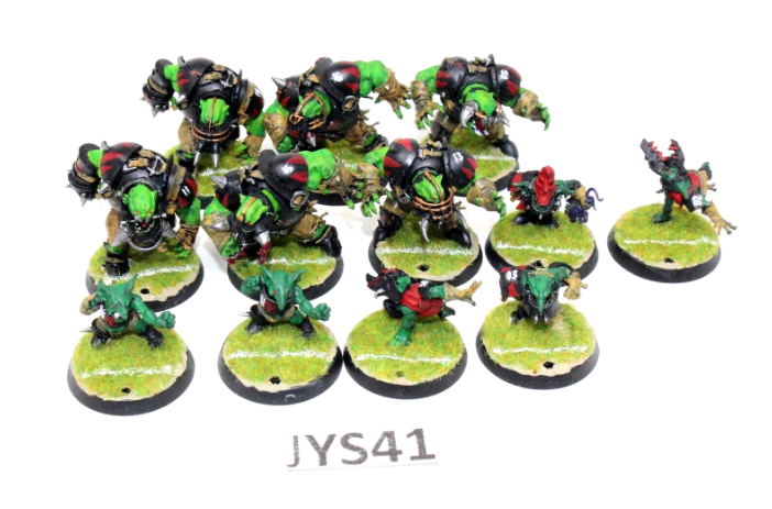 Warhammer Blood Bowl Thunder Valley Greenskins Well Painted JYS41