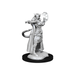 Dungeons and Dragons Nolzur's Marvelous Miniatures: Wave 15: Tiefling Sorcerer - Tistaminis