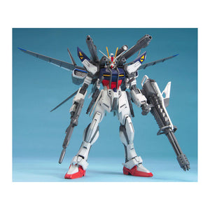 Bandai Gundam MG 1/100 Lukas O'Donnell Custom Gundam Strike E+I.W.S.P. New - Tistaminis