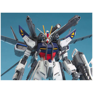 Bandai Gundam MG 1/100 Lukas O'Donnell Custom Gundam Strike E+I.W.S.P. New - Tistaminis