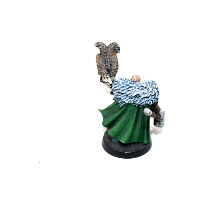 Warhammer Inquisition Inquisitor Coteaz Well Painted - JYS58