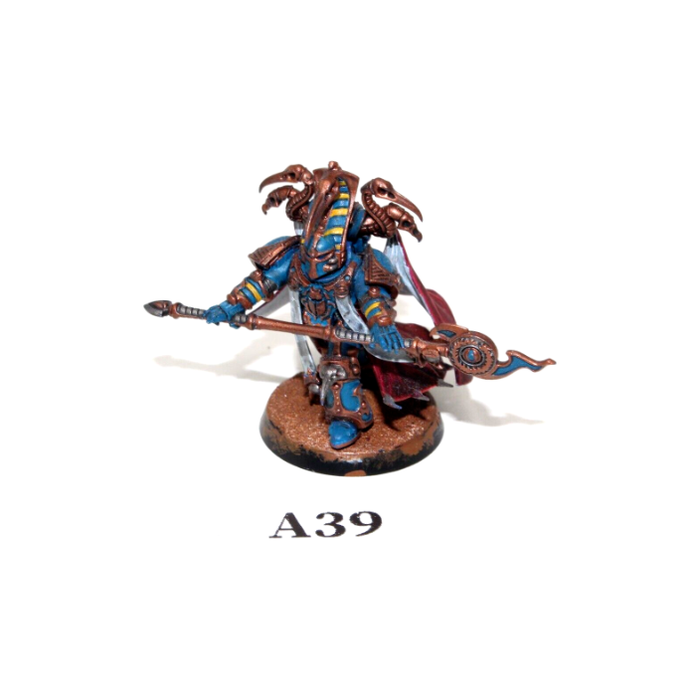 Warhammer Thousand Sons Exalted Sorcerer Well Painted A39