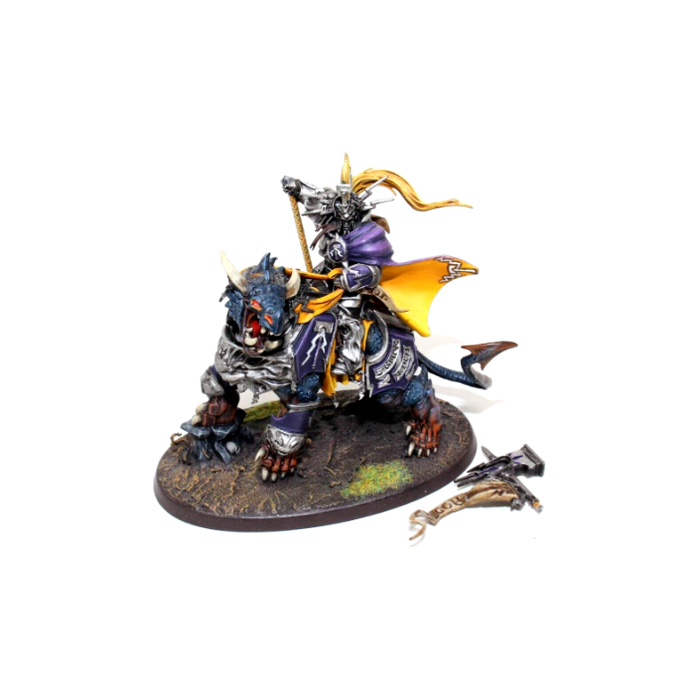 Warhammer Stormcast Eternals Vandus Hammerhand Well Painted JYS35