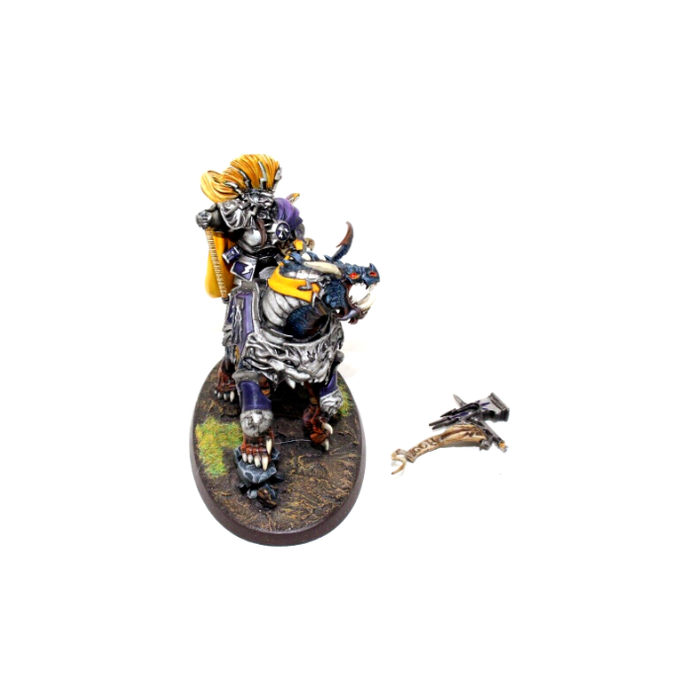 Warhammer Stormcast Eternals Vandus Hammerhand Well Painted JYS35