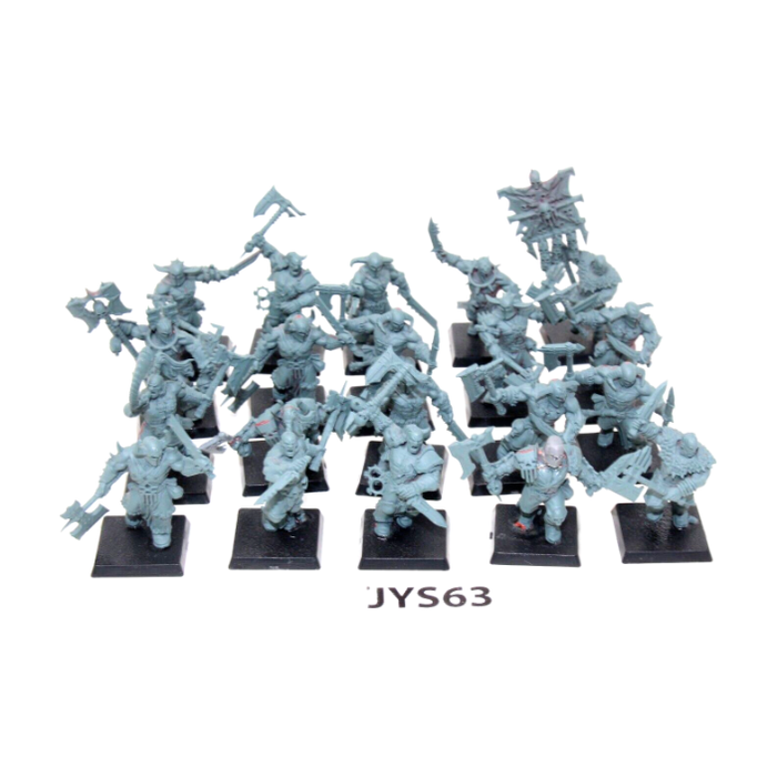 Warhammer Warriors of Chaos Blades of Khorne Bloodreavers JYS63