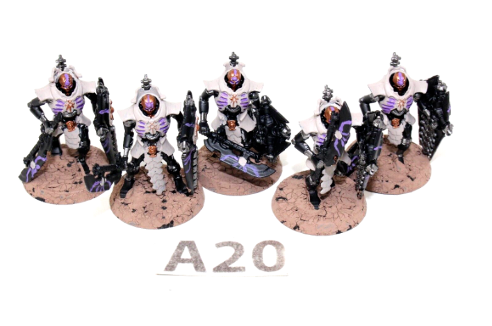 Warhammer Necrons Lychguard A20