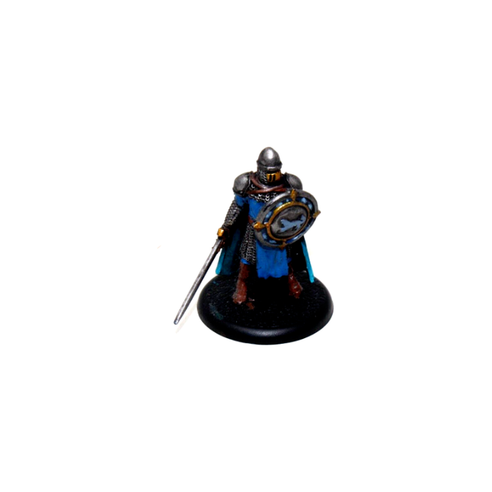 Song of Ice and Fire Hero Well Painted A22