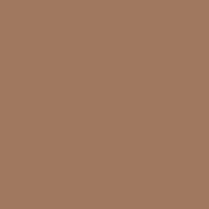 Vallejo Model Colour Paint Brown Sand RLM79 (70.876) - Tistaminis