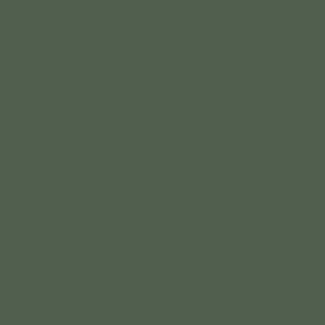 Vallejo Model Air Paint Gunship Green (71.014) - Tistaminis