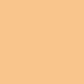 Vallejo Model Air Paint Skin Tone (6/Bx) (71.076) - Tistaminis
