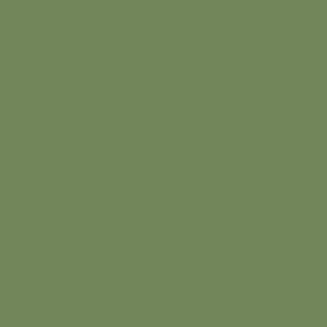 Vallejo Model Air Paint Pale Green(6/Bx) (71.095) - Tistaminis