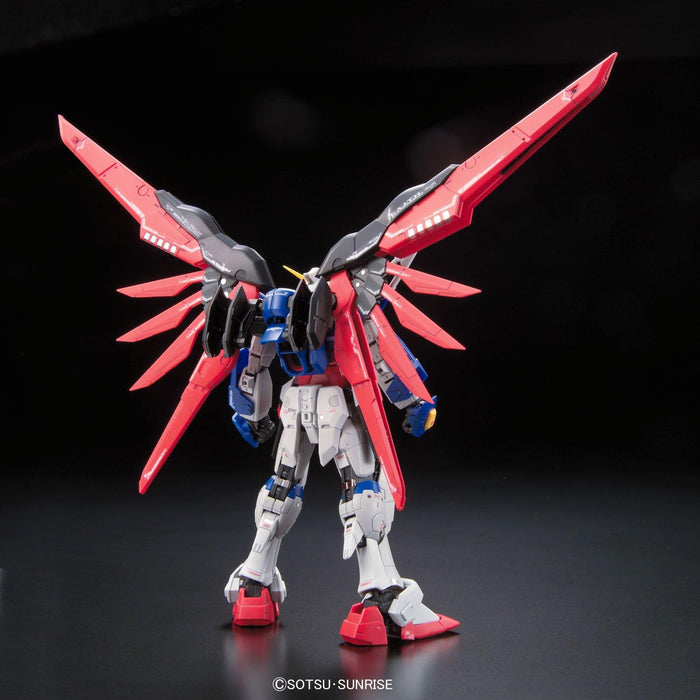 RG 1/144 #11 Destiny Gundam New