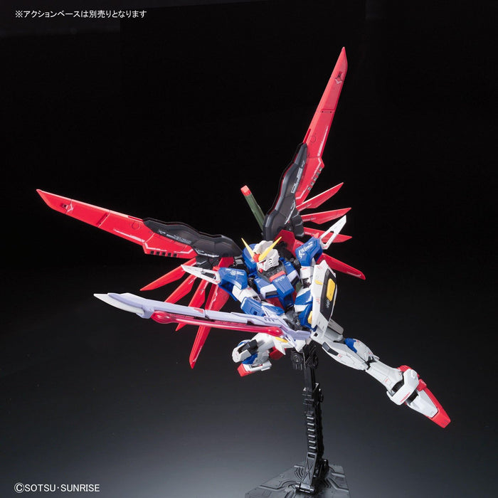 RG 1/144 #11 Destiny Gundam New