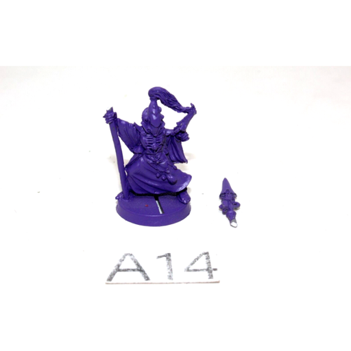 Warhammer Eldar Warlock A14 - Tistaminis