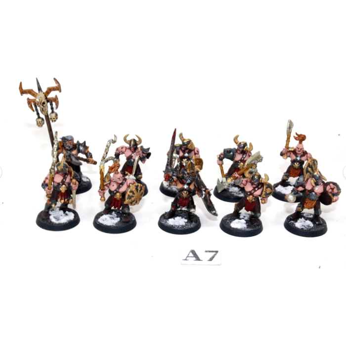 Warhammer Warriors of Chaos Chaos Marauders Well Painted A7 - Tistaminis