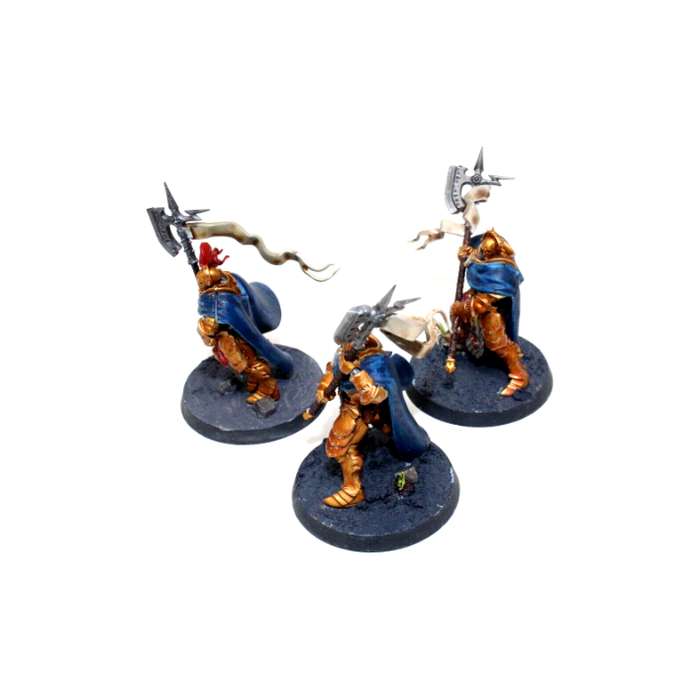 Warhammer Stormcast Eternals Praetors Well Painted JYS36