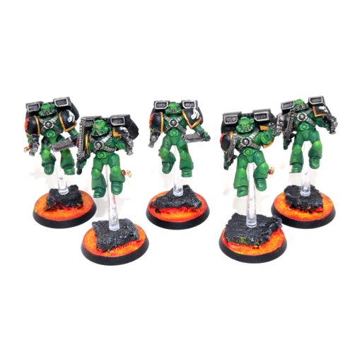 Warhammer Space Marines Vanguard Vetrans Well Painted JYS51 - Tistaminis