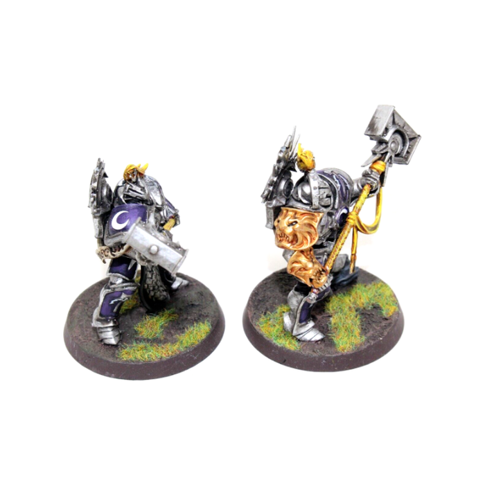 Warhammer Stormcast Eternals Retributors Well Painted JYS35