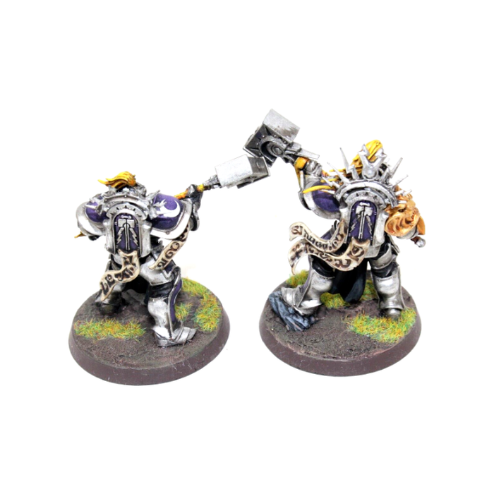 Warhammer Stormcast Eternals Retributors Well Painted JYS35