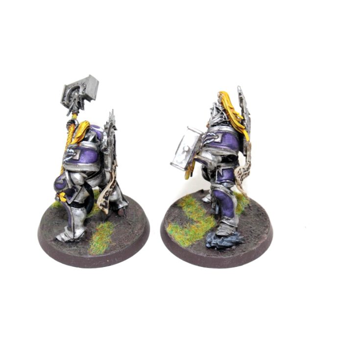 Warhammer Stormcast Eternals Retributors Well Painted JYS35