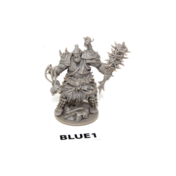 Dungeons and Dragons Beastmaster Ogre BLUE1