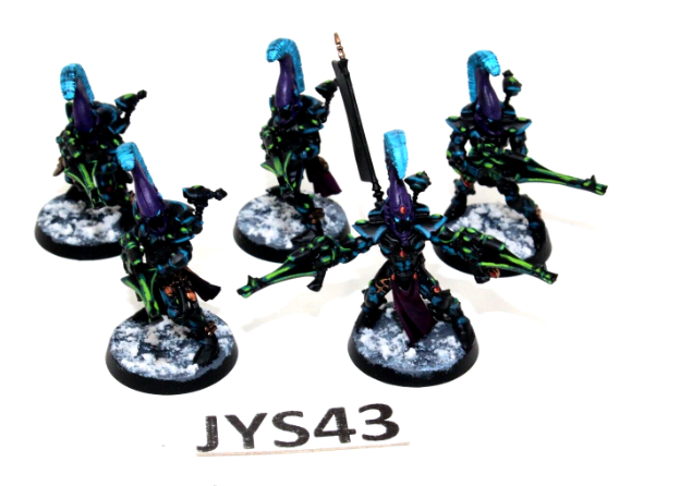 Warhammer Eldar Dire Avengers Well Painted JYS43