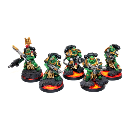 Warhammer Space Marines Sternguard Veterans Well Painted JYS53 - Tistaminis