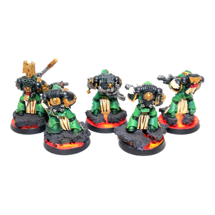 Warhammer Space Marines Sternguard Veterans Well Painted JYS53 - Tistaminis