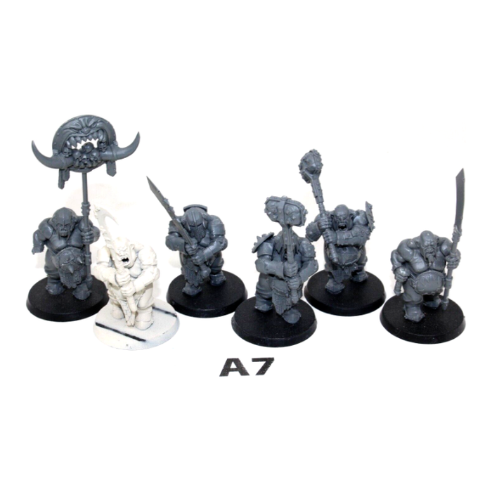 Warhammer Ogre Kingdoms Ironguts A7