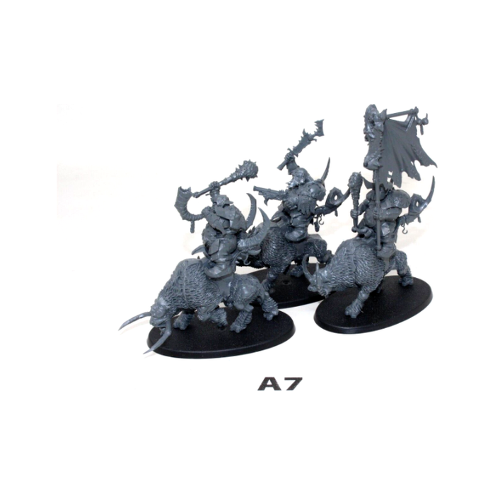 Warhammer Ogre Kingdoms Mournfang Pack A7