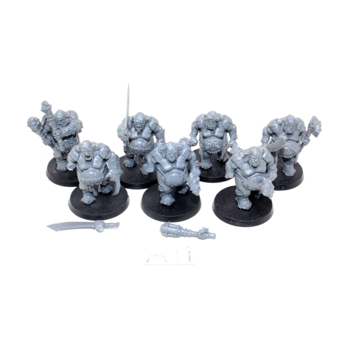 Warhammer Ogre Kingdoms Ogre Gluttons A11