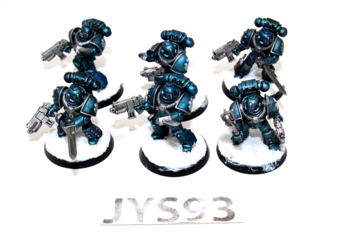 Warhammer Space Marines Tactical Marines Well Painted JYS93