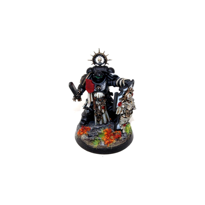 Warhammer Space Marines Primaris Captain Well Painted A18