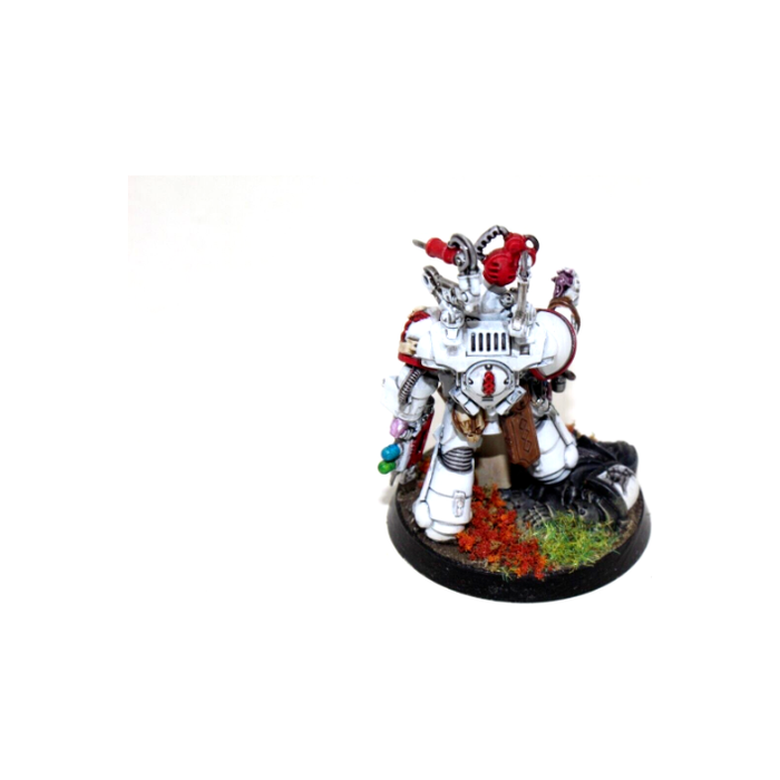 Warhammer Space Marines Primaris Apothacary Well Painted A18