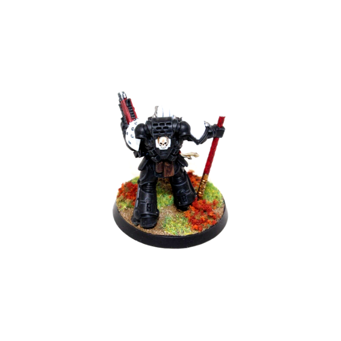 Warhammer Space Marines Primaris Captain Custom Well Painted A19