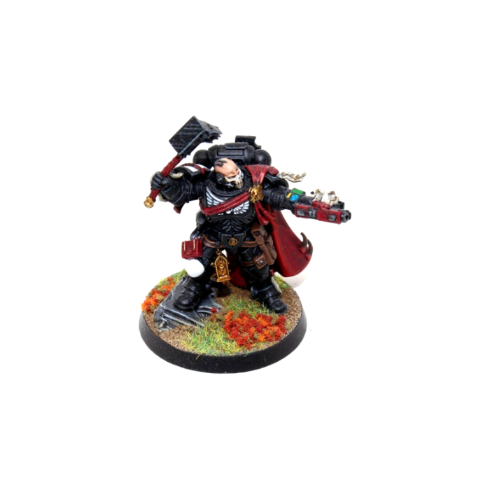 Warhammer Space Marines Primaris Captain Custom Well Painted A19