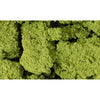 Woodland Scenics Foliage Cluster Light Green (45 Cu.In.) WOO57 - Tistaminis